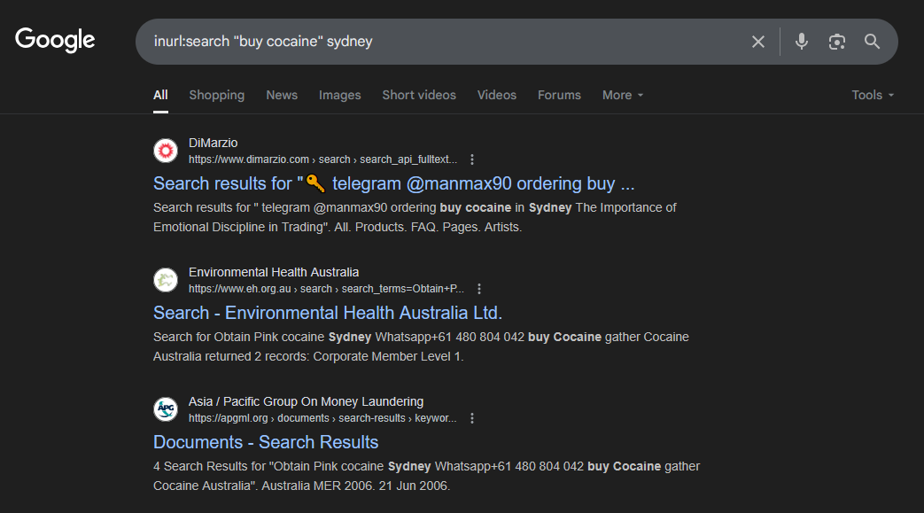A screenshot of other Google results with search pollution spam
